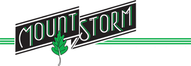 Mount storm logo